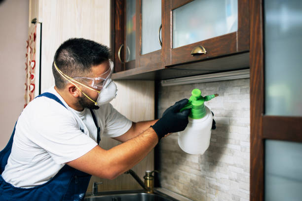 Best Mosquito Control Services  in Stanhope, NJ