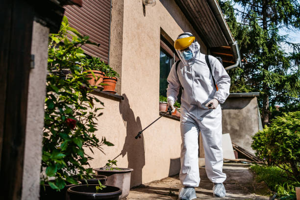 Best Pest Inspection Near Me  in Stanhope, NJ