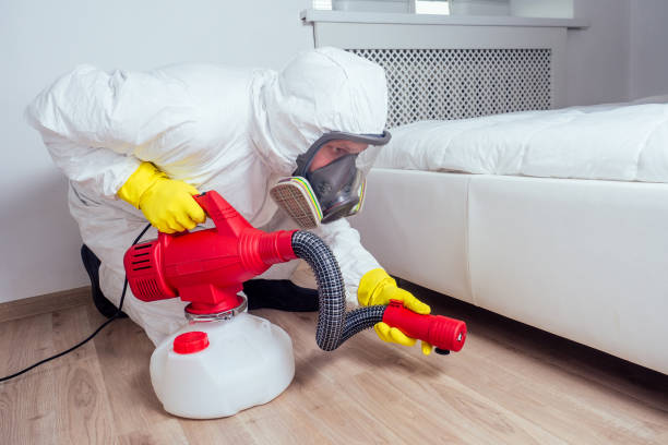 Best Affordable Pest Control Services  in Stanhope, NJ