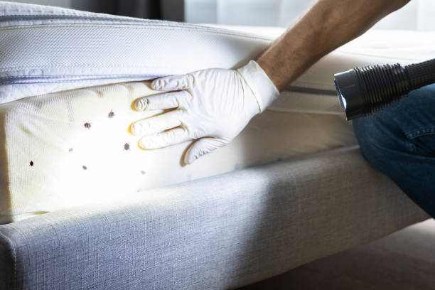 Best Pest Control Near Me  in Stanhope, NJ